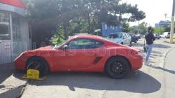 Caracatiţă pe un Porsche, în Constanţa