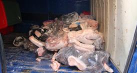 Răzvan Dimoftache, la Curtea de Apel Constanţa Documentele care ar fi trebuit să fie arse ar fi fost găsite îngropate 