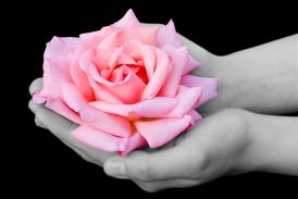 Lumea Poeziilor Pablo Neruda - Absenţa