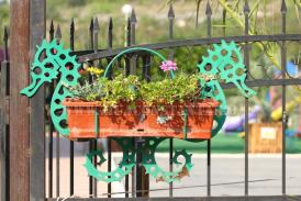 centrulnatura.ro Săptămâna ”bioticelor”