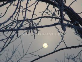 Centrul natura SAPTAMANA FOCALIZARII