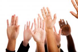 Minoritarii vor reprezentare Pe cine susţin Partida Romilor, AUR şi Comunitatea Ruşilor Lipoveni pentru un mandat de ales local în judeţul Constanţa (document)