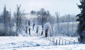 Suedezii se luptă cu... zăpada!