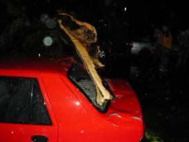 Sub privirile tatălui, o fetiță a murit strivită într-o mașină, de un copac doborât de vânt