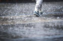 Codurile galbene și portocalii au dat năvală în România