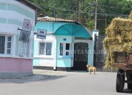 ”Ziua porţilor deschise” la Penitenciarul Poarta Albă - Secția exterioară Valu lui Traian  