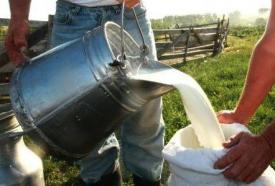 APIA a început autorizarea la plată pentru ajutoarele excepționale din sectorul laptelui și produselor lactate