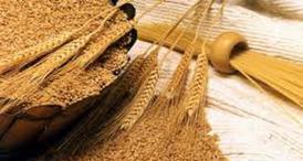 Mandat european de arestare Căutat de bulgari, prins la Constanţa