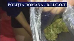Trei membri ai unei grupări infracționale au fost arestați preventiv pentru trafic de droguri de risc (video)