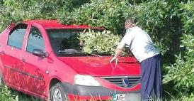 Imaginaţie când vine vorba de radar? Parbriz acoperit cu crengi din copac 