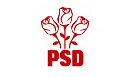PSD îi susține pe Dumitru Learciu şi Claudiu Palaz pentru poziţiile de vicepreşedinți al CJC 