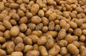 centrulnatura.ro Provocare interesantă