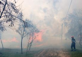 Cimitirul din Chirnogeni a luat foc