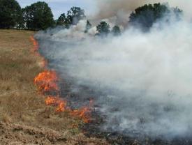 Incendii pe plaja La Trei Papuci și în localitatea Tortomanu