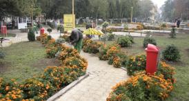 Bye-bye, Pomacost? Primăria Constanţa dă zeci de mii de lei pe răsaduri de flori unei firme din capitală (document)