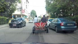 Poliția Locală pe urmele căruțelor 