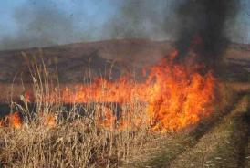 Incendiu de vegetaţie uscată în comuna Amzacea! 