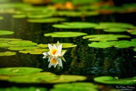 „Capitala Piraţilor”, un loc de o frumuseţe desăvârşită cu plaje sălbatice impresionante (galerie foto)