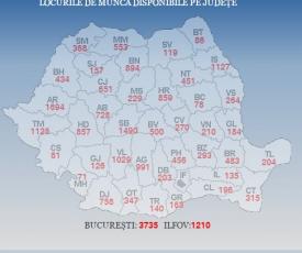 Peste 300 de locuri de muncă, disponibile la Constanţa