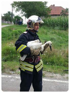 Fiecare viață contează pentru pompieri!