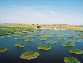 Meteorologii anunţă temperaturi caniculare în Lunca Dunării