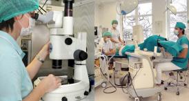 Proiect legislativ „rătăcit” Decontarea serviciilor medicale pentru fertilizarea în vitro „uitată” de deputați!? (galerie foto+document)