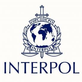 Vrei să lucrezi la Interpol? Iată ce trebuie să faci!