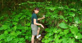 „Dumnezeu a vrut să ofere sprijin oamenilor de sus“ Adriana Mihalache, președinta CNAS Constanța, învinsă de moarte