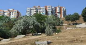 Sondaj de opinie Cetăţenii, nemulţumiți de accesul pe plaja Modern. „Să-i chemăm pe olandezi să ne reabiliteze şi scările?”