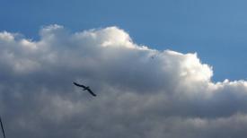 Vremea în weekend, pe litoral. Temperaturi până la 33 de grade