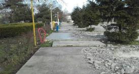 Reclamaţii la Primărie! Copaci rupţi, ineficienţa poliţiei locale, mizerie sau orătănii şi grătare în centrul Constanţei