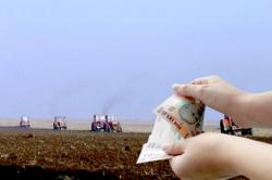 Mită la APIA Jumătate din subvenție, potrivit DNA