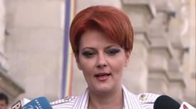Premieră în România. Primarul Craiovei, Lia Olguţa Vasilescu, şi-a publicat dosarul de la DNA pe internet