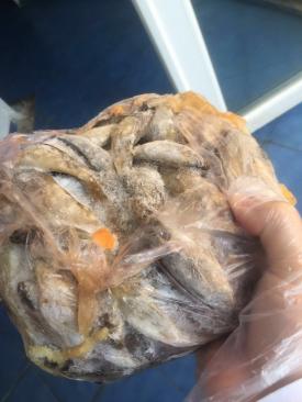 ANPC a închis patru localuri de pe litoral (galerie foto)