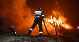 Incendiu la o fabrică de cherestea