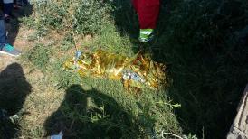 UPDATE. Tragedie la Hârșova Un copil a fost carbonizat( galerie foto)        