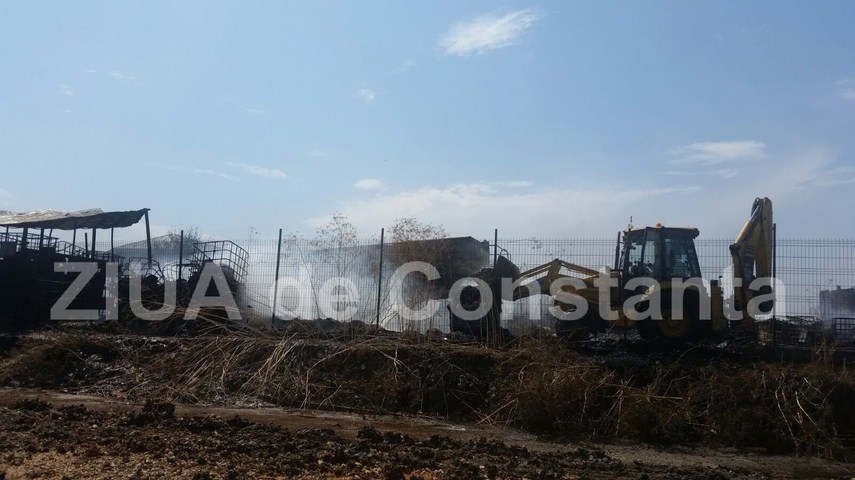 fotoreportaj un doamne ajuta in gand si o pata neagra de cenusa pe cerul constantei 603184