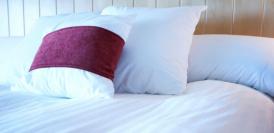 SC Traditionaleco SRL se va ocupa de servicii de spălare de materiale textile pentru SNTFC „CFR Călători“ SA 