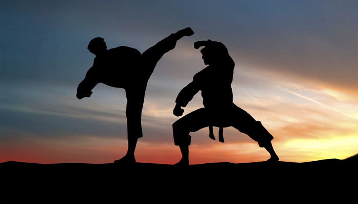 Imagini pentru Campionatul European de Kung-Fu 2016