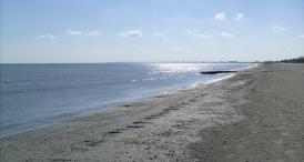 O firmă de publicitate din Constanţa administrează un sector de plajă în Năvodari (document)