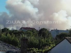 UPDATE Incendiu în Vama Veche, aproape de graniţa cu Bulgaria! (galerie foto+video)        