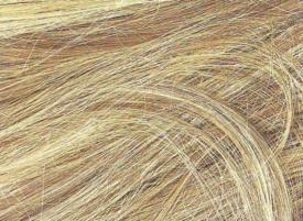 StudiuUn fir de păr ar putea dezvălui identitatea unei persoane