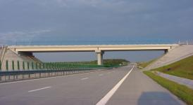 Capre pe Autostrada Soarelui! 