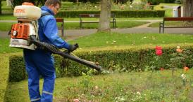 Iată în ce zone se vor desfășura dezinsecțiile și deratizările în Constanța 