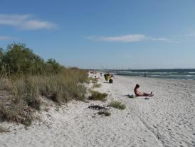 Dacă am restaurant, e nevoie şi de o plajă… în Năvodari (document) 