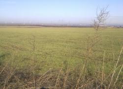 Sute de hectare din Chirnogeni-Plopeni au devenit arie protejată. Nu se știe ce anume trebuie conservat