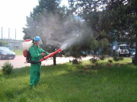 Acțiuni de dezinsecție împotriva căpușelor și a insectelor în Constanța