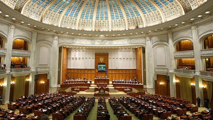 Image result for senat romania