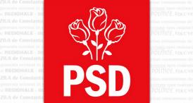 PSD Constanța a înregistrat la AEP mandatarul financiar pentru campania electorală