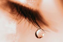 Irina Lucia Mihalca - Sărutul lacrimei tale 